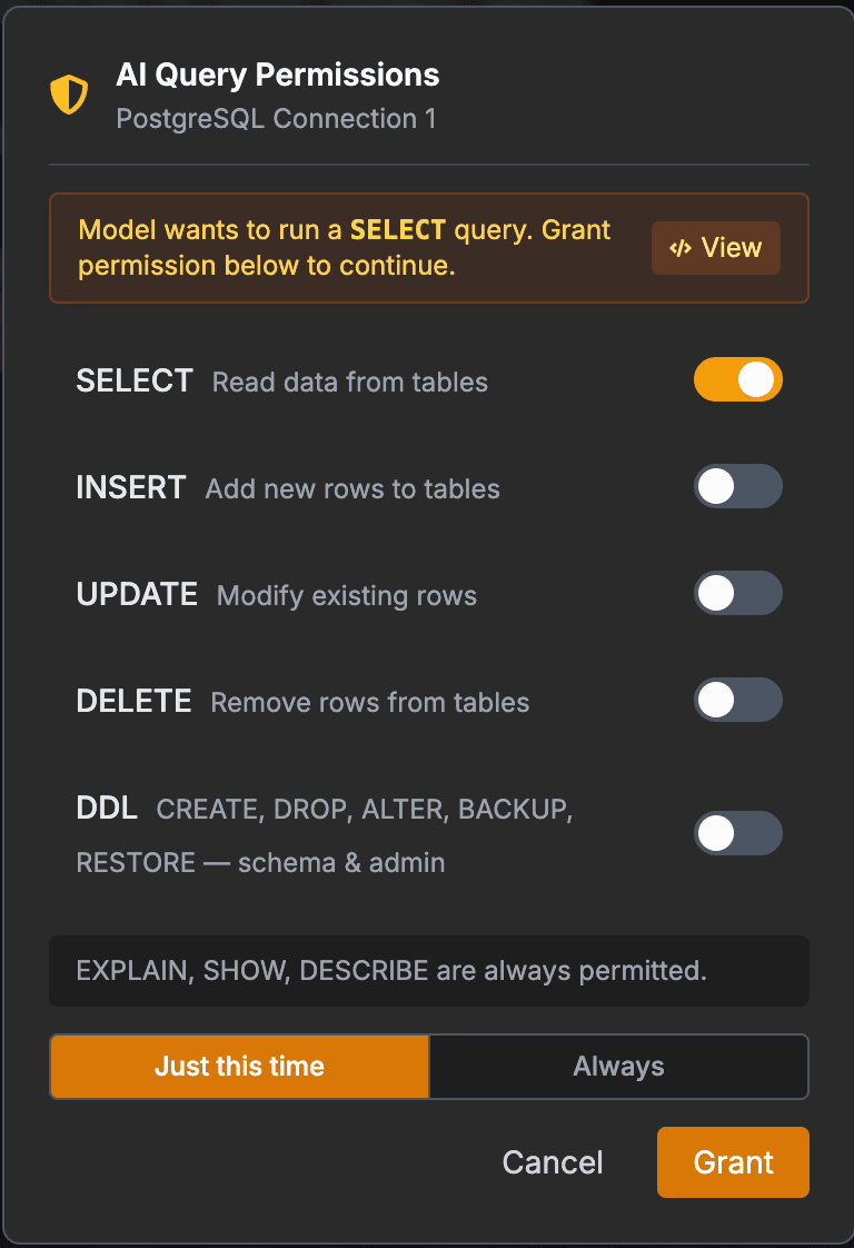 AI Query Permissions dialog in PromptQuery